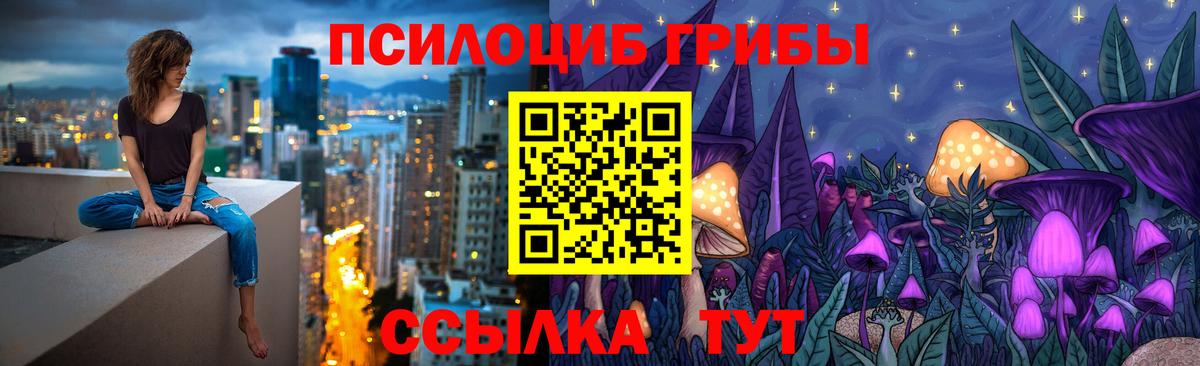 Галлюциногенные грибы прущие грибы  Старая Купавна 